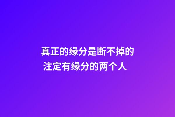 真正的缘分是断不掉的 注定有缘分的两个人